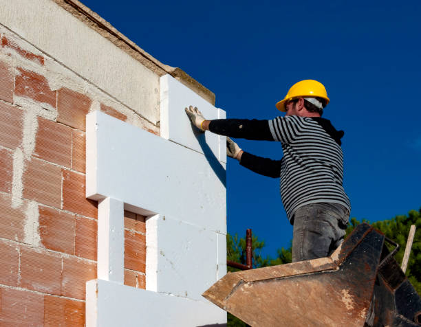 Best Insulation Replacement Services  in Limon, CO
