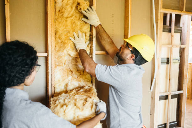 Trusted Limon, CO Insulation Contractor Experts